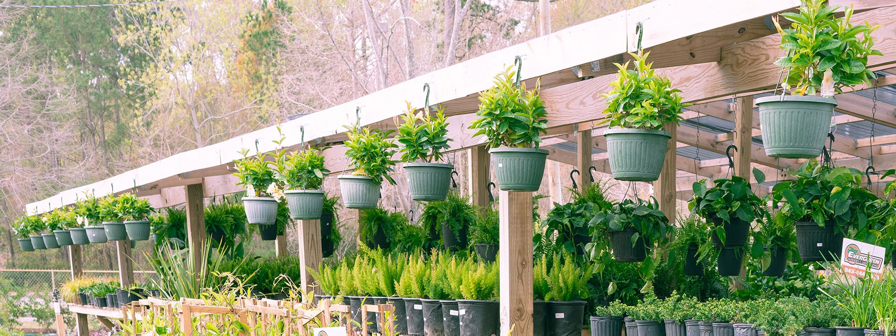 A row of potted plants on wooden posts.